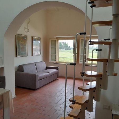 La Casa Di Fre Διαμέρισμα Πίζα Εξωτερικό φωτογραφία